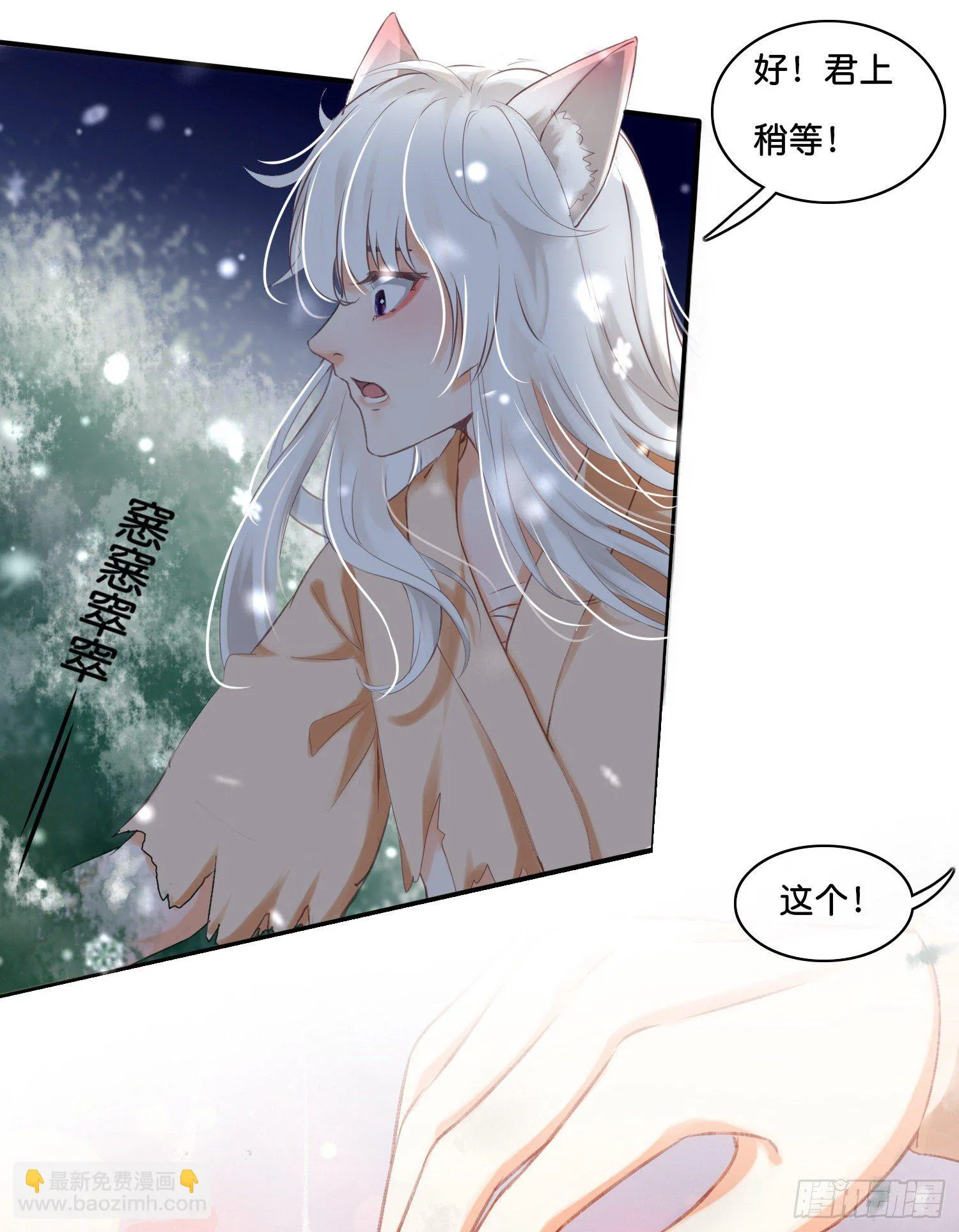 第拾壹话 灵猫的诉求（六） 第12页