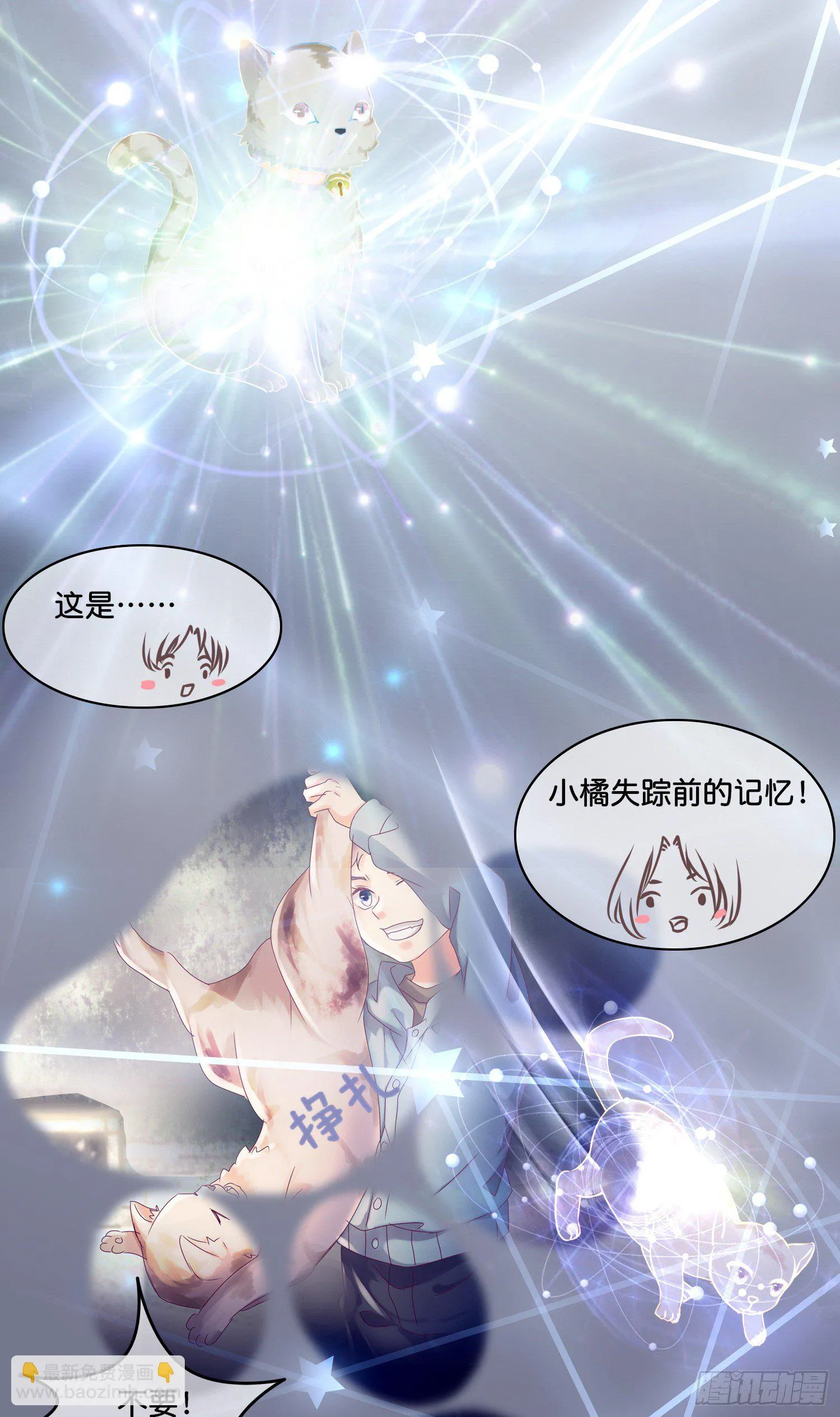 第拾壹话 灵猫的诉求（六） 第16页