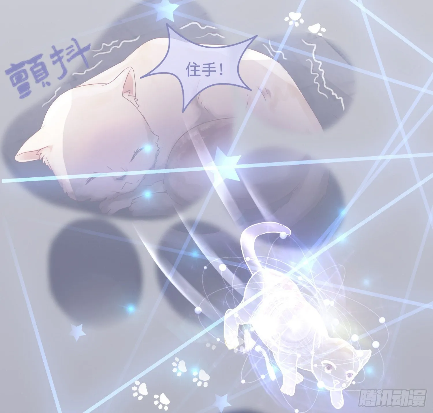 第拾壹话 灵猫的诉求（六） 第20页