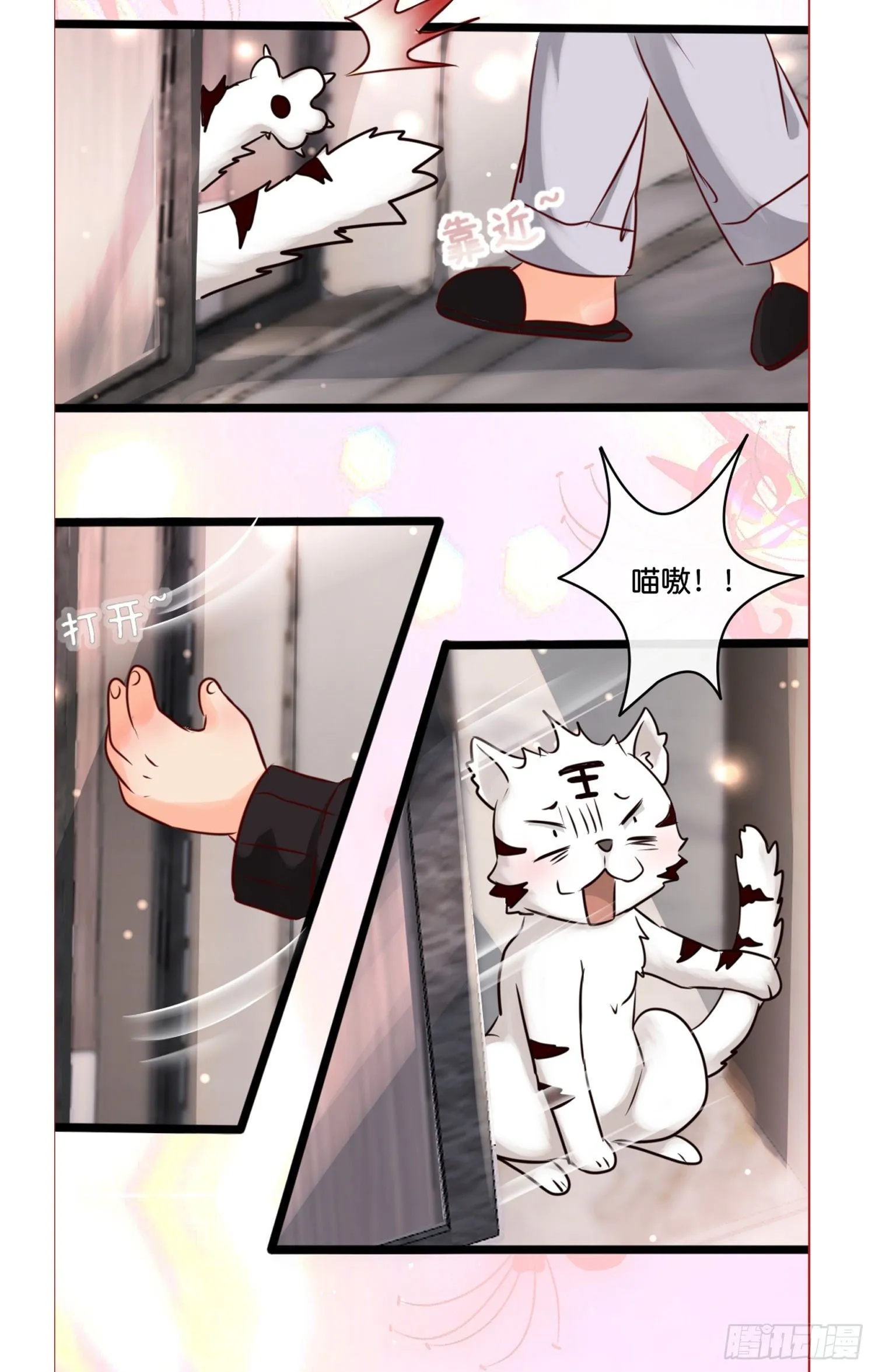 第拾壹话 灵猫的诉求（六） 第41页