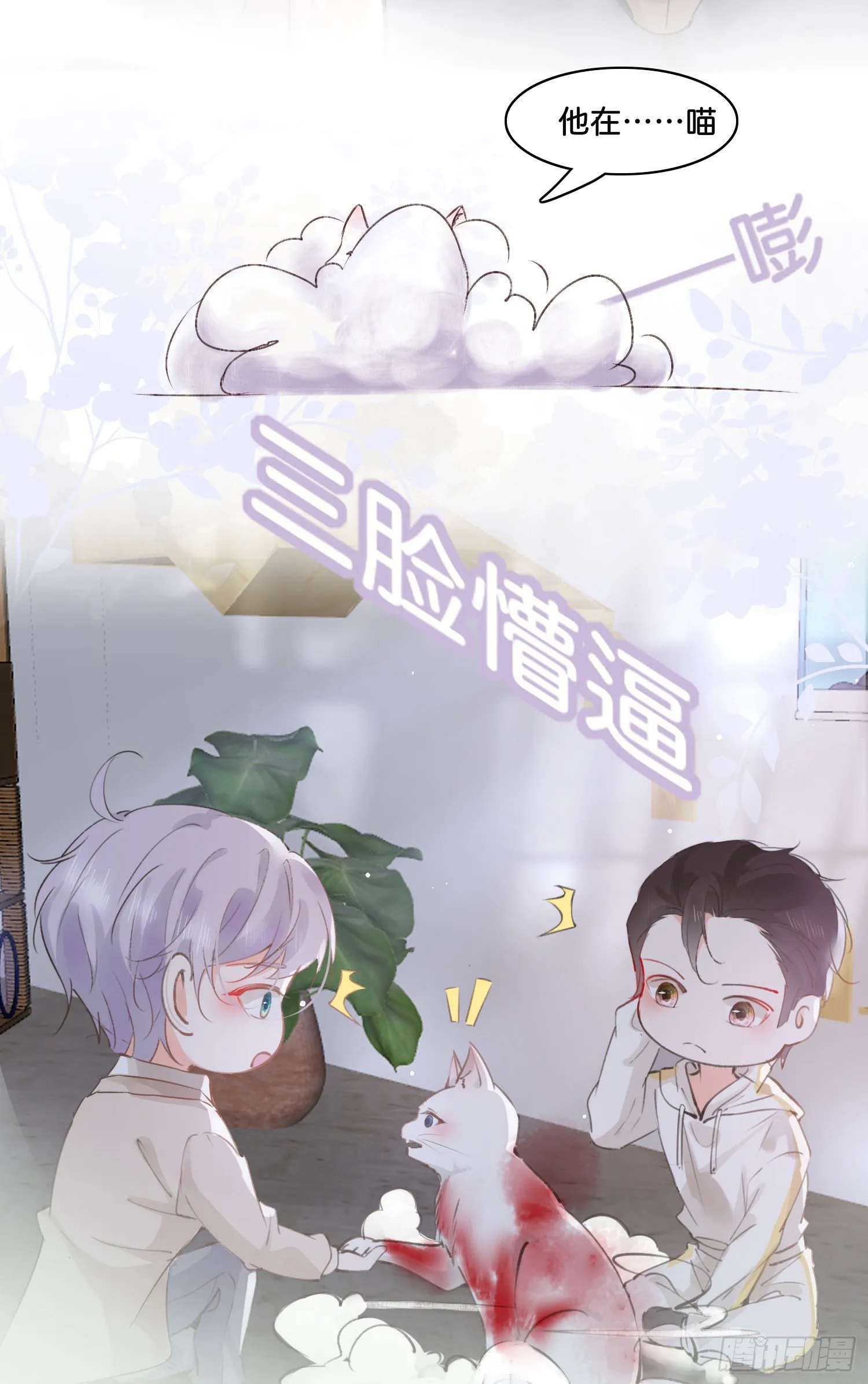 第玖话 灵猫的诉求四 第6页