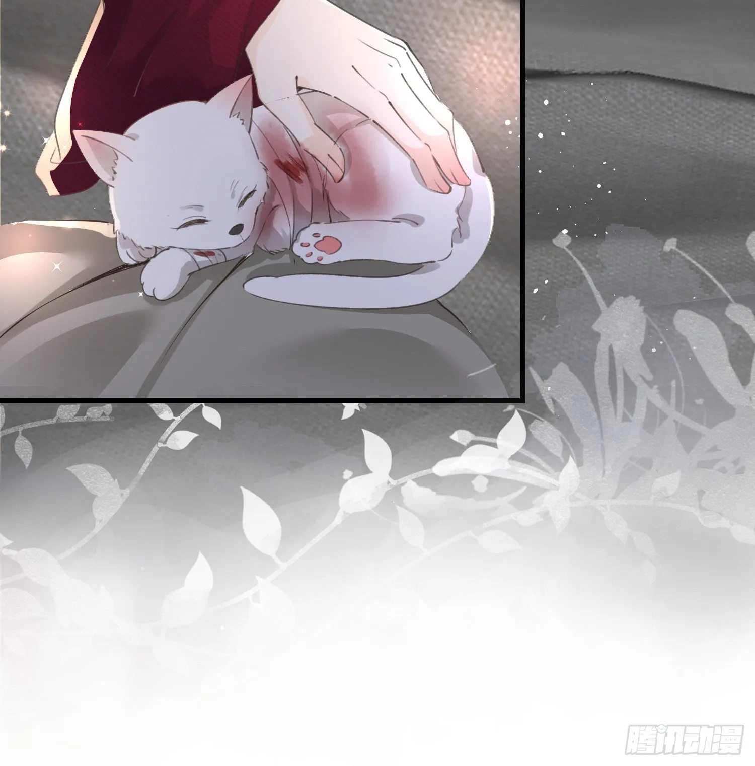 第玖话 灵猫的诉求四 第9页