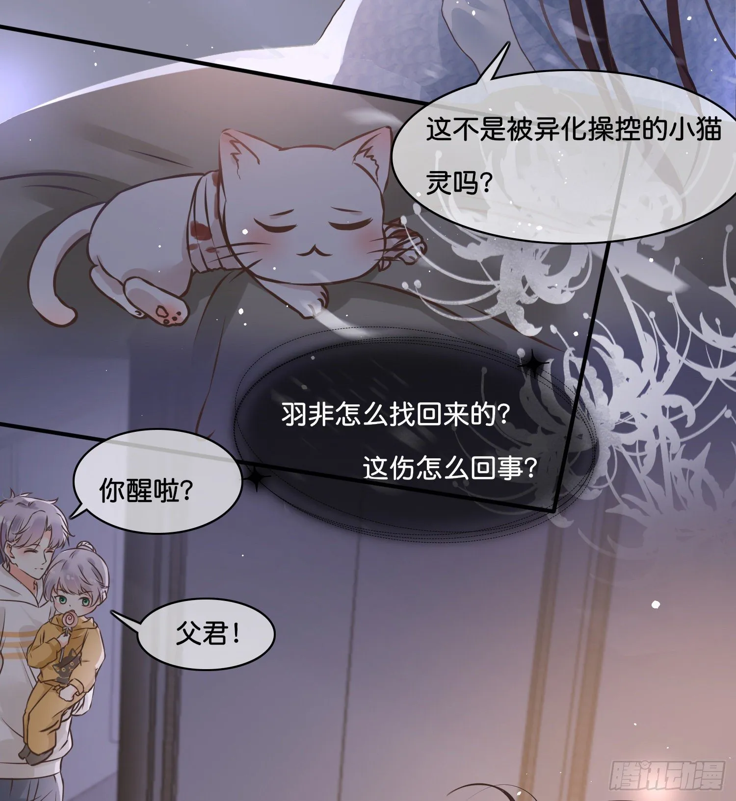 第捌话 灵猫的诉求（三） 第25页