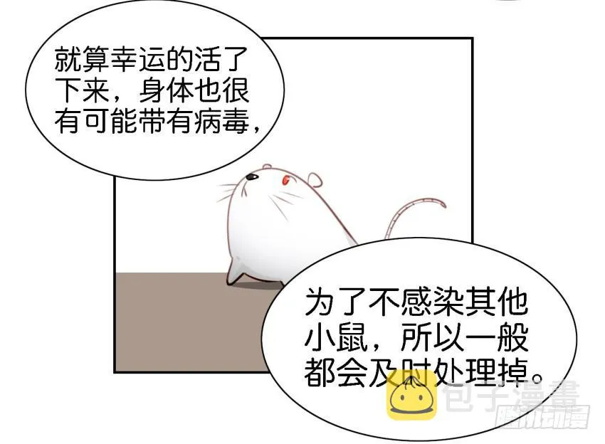 第六话 我们的秘密 中 第15页