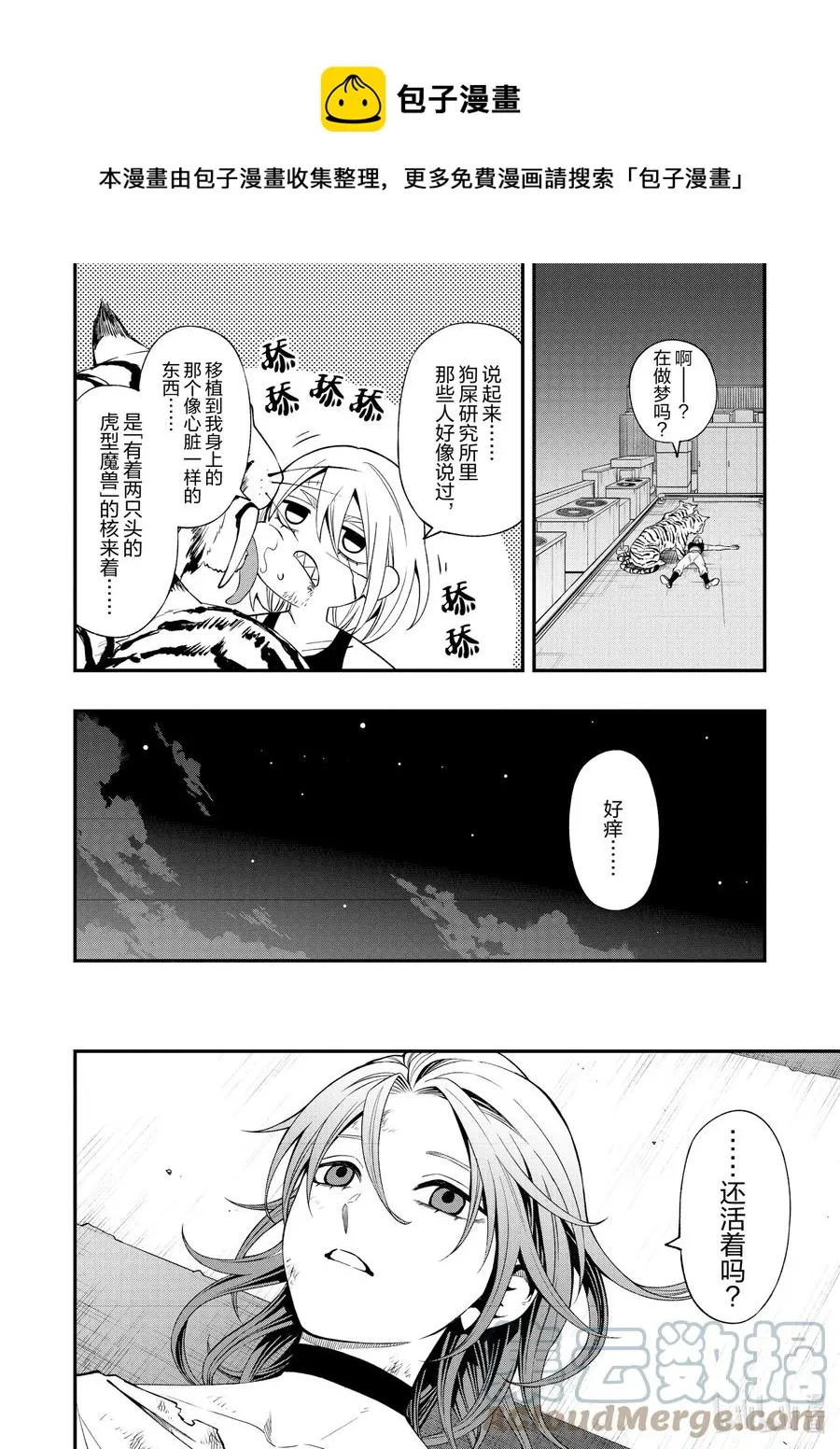81 81 第17页