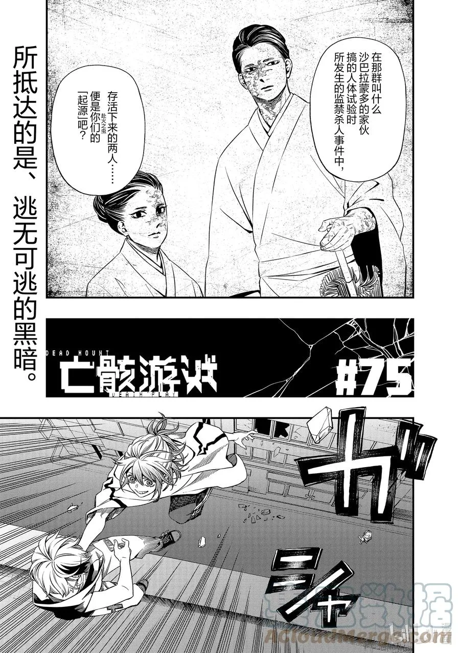 75 75 第3页