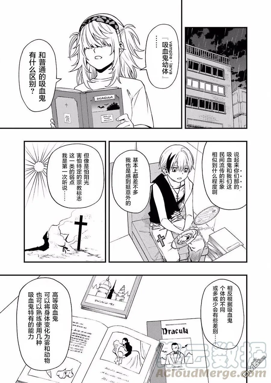 47 47 第13页