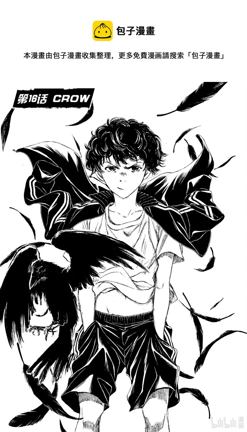 16 CROW 第1页