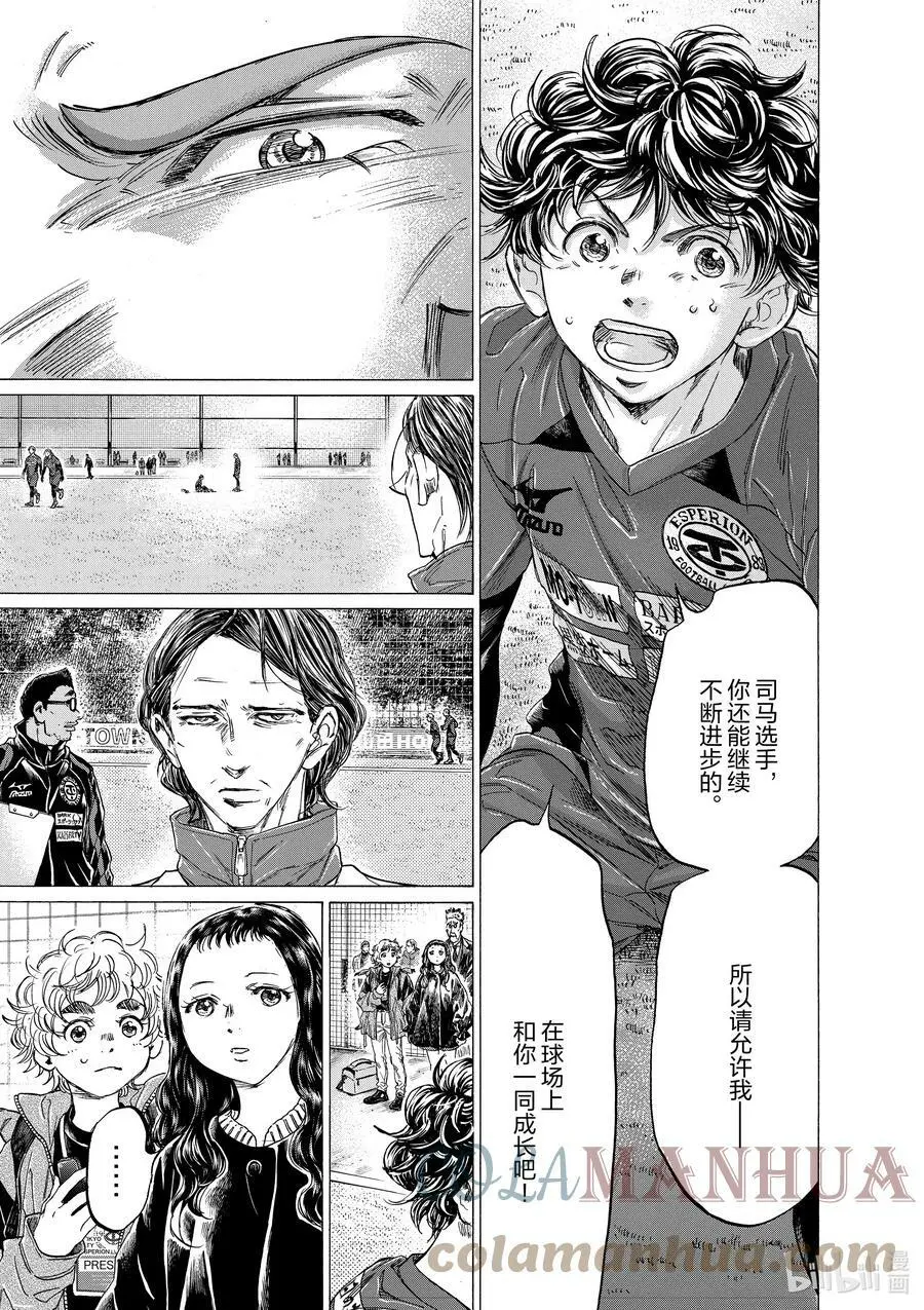 307 司马队的结论 第3页