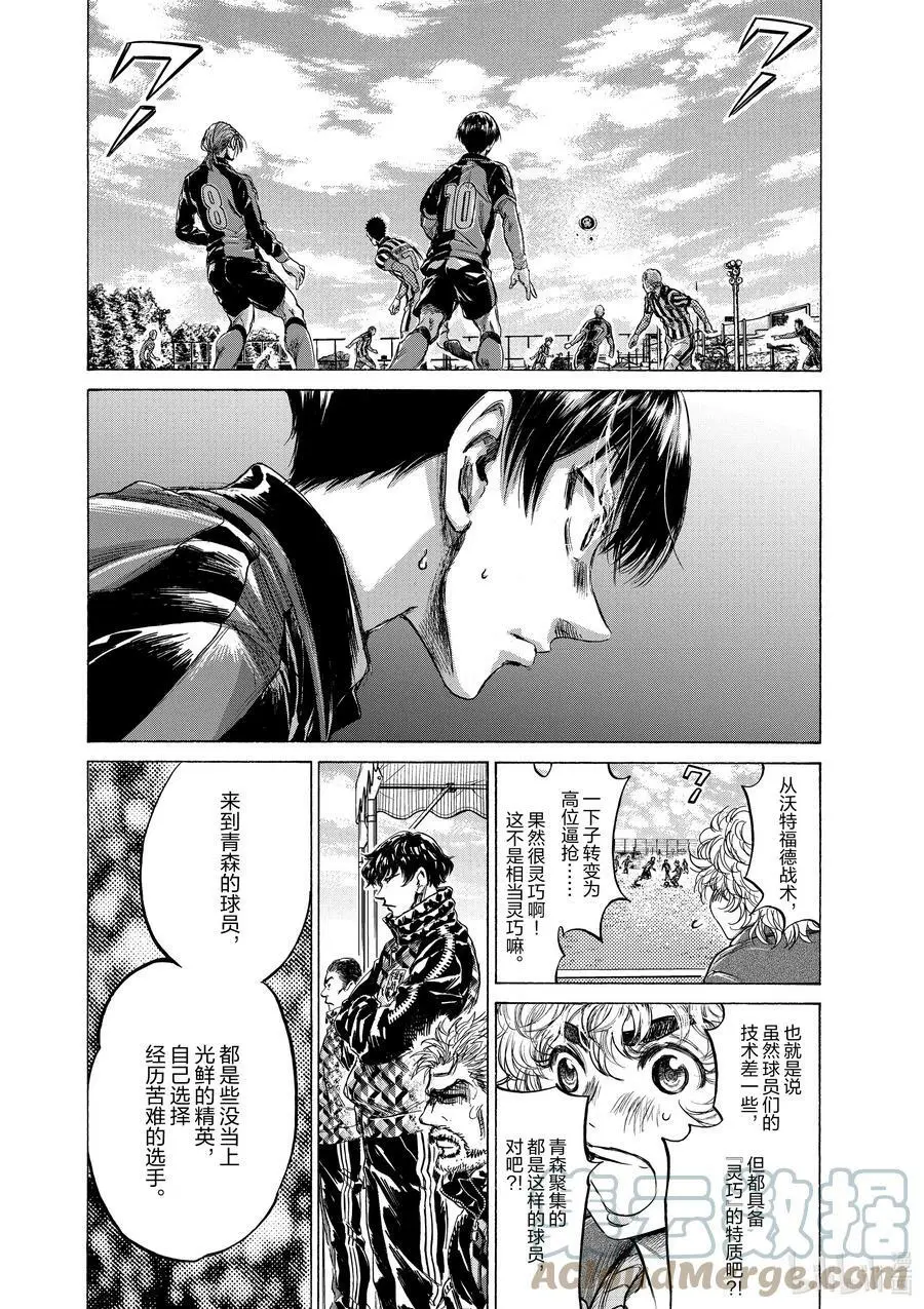 226 灵巧的青森 第17页