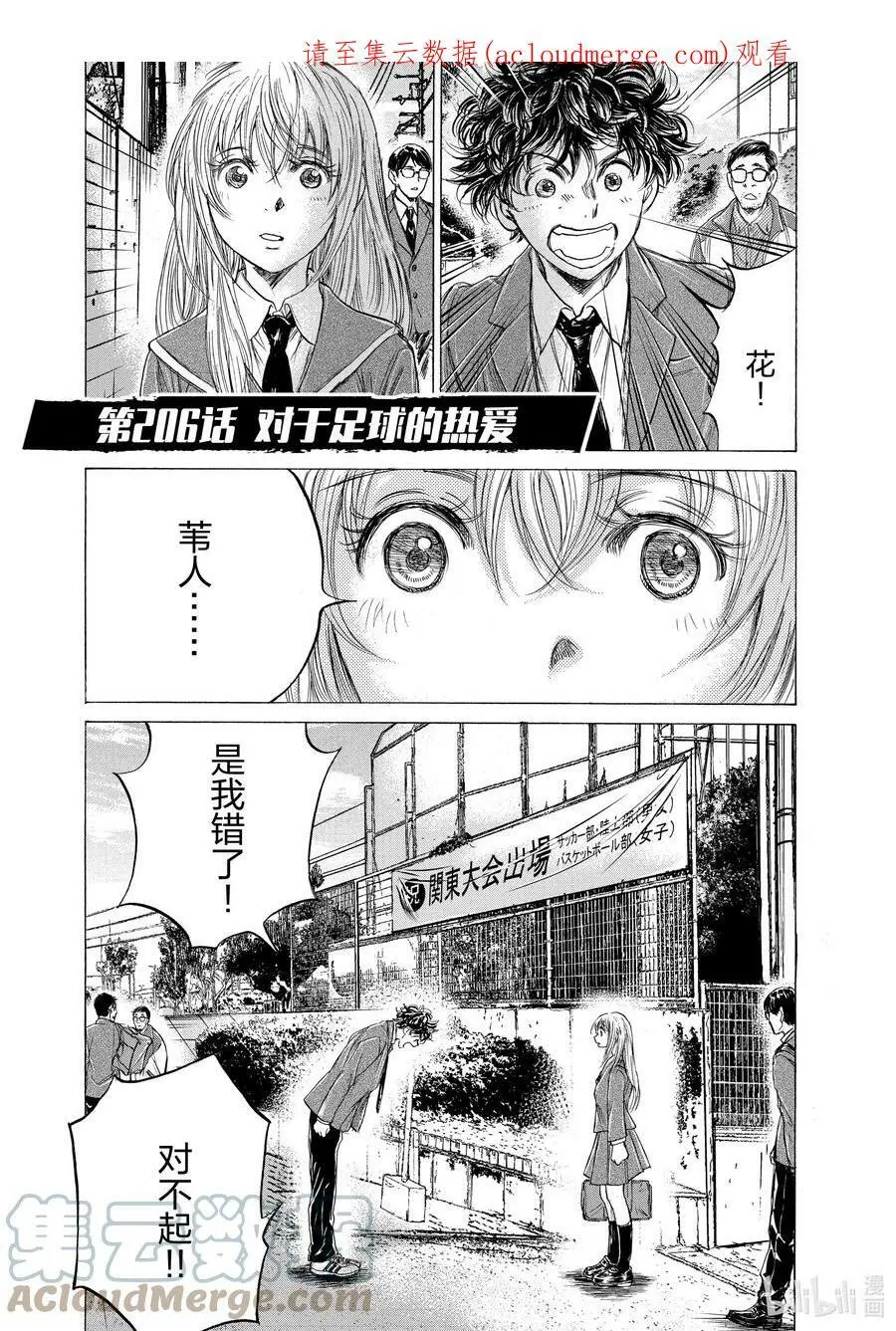 206 对于足球的热爱 第1页