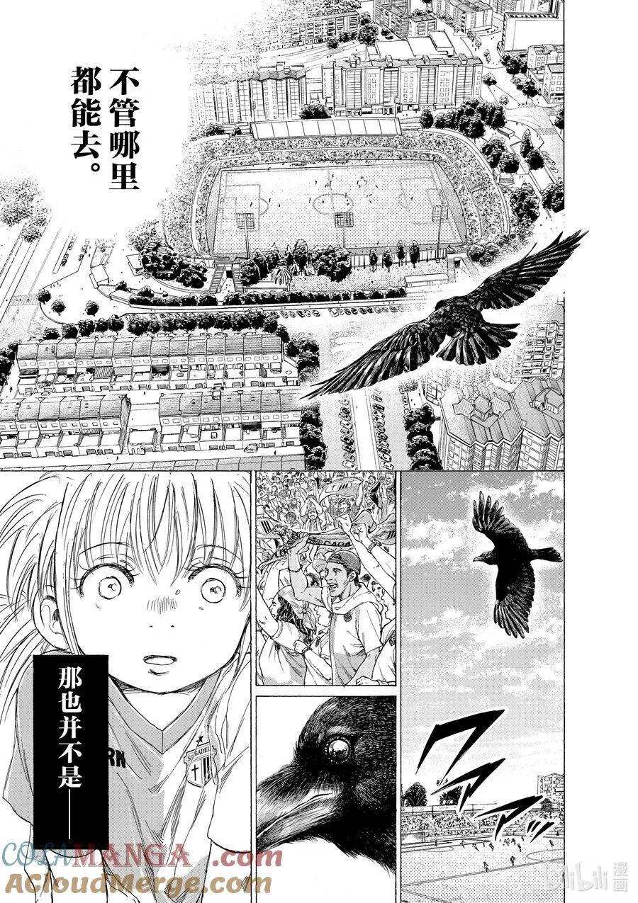 335 Eagle Fly Free（鹰击长空） 第13页