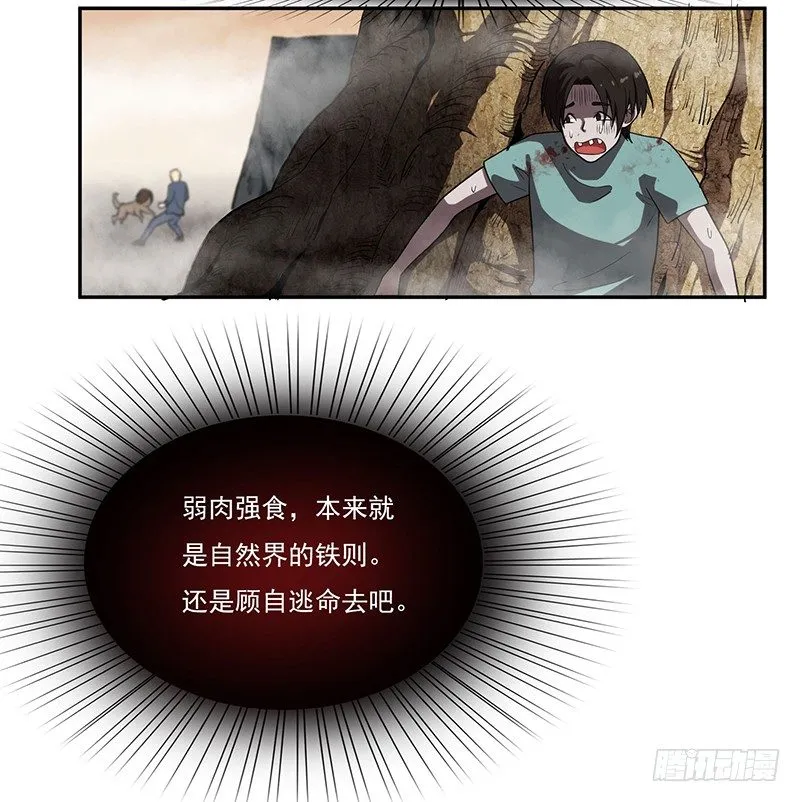 警报 第17页