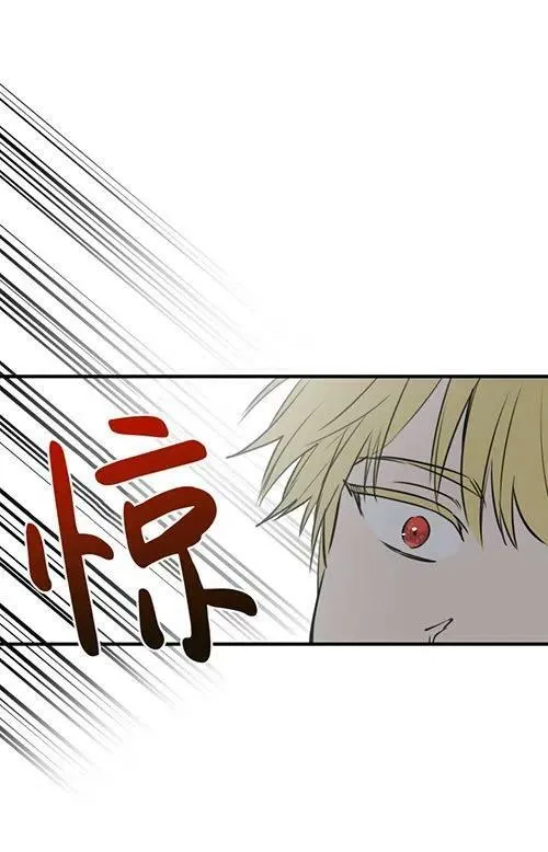 第53话 第80页