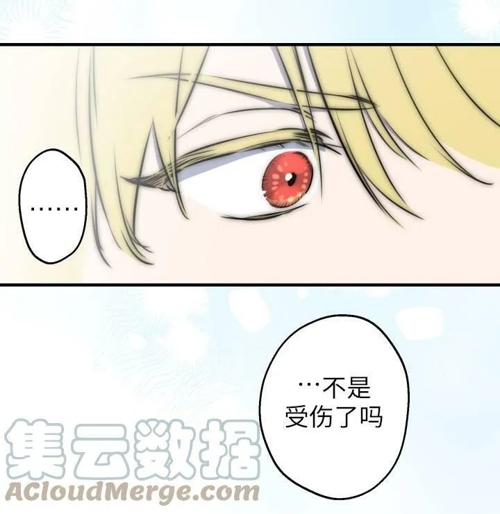 第75话 第53页