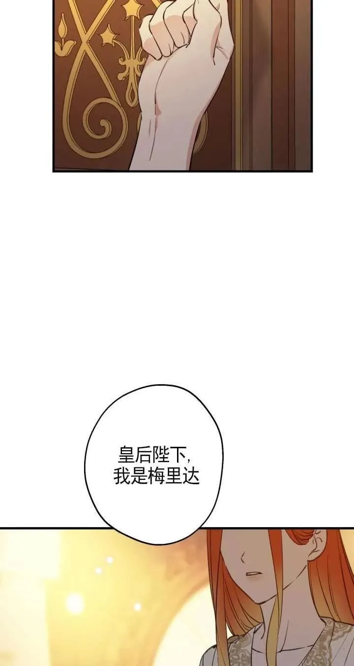第115话 第11页