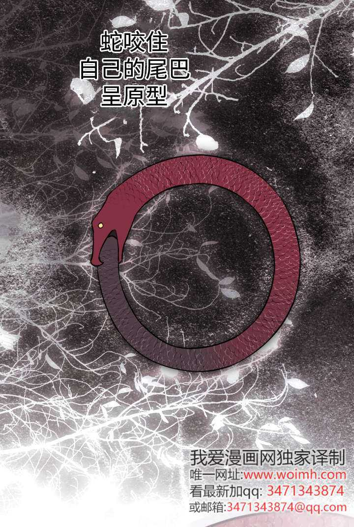 第132话 第46页
