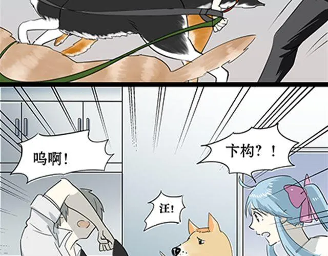 一条狗#56、57 被送到虐狗基地了！ 第6页