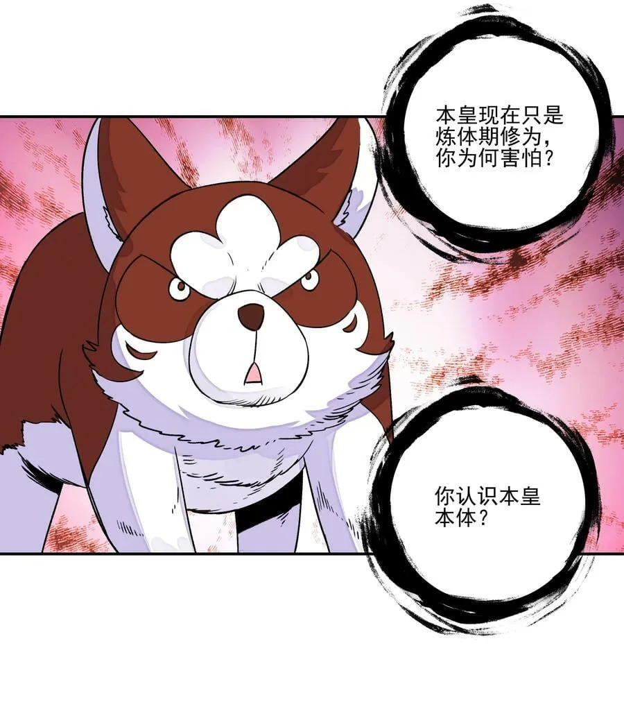 224 第219话 本王不同意这门亲事 第18页