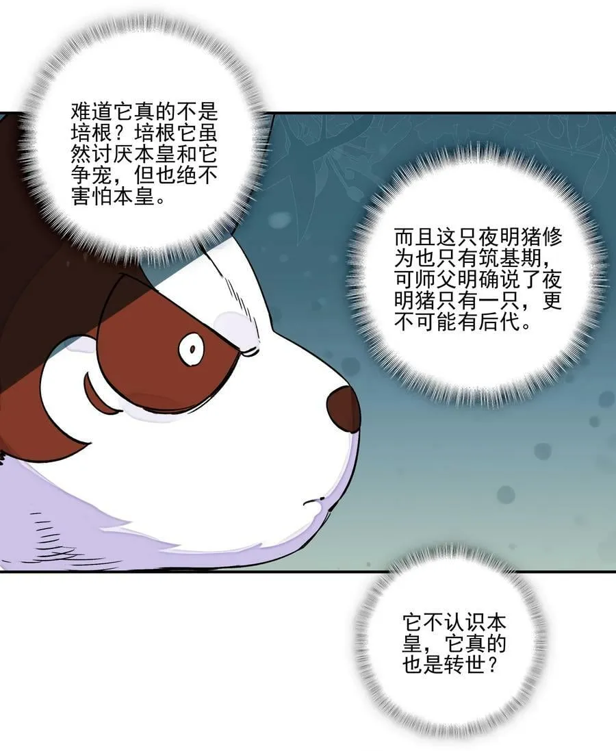 224 第219话 本王不同意这门亲事 第20页