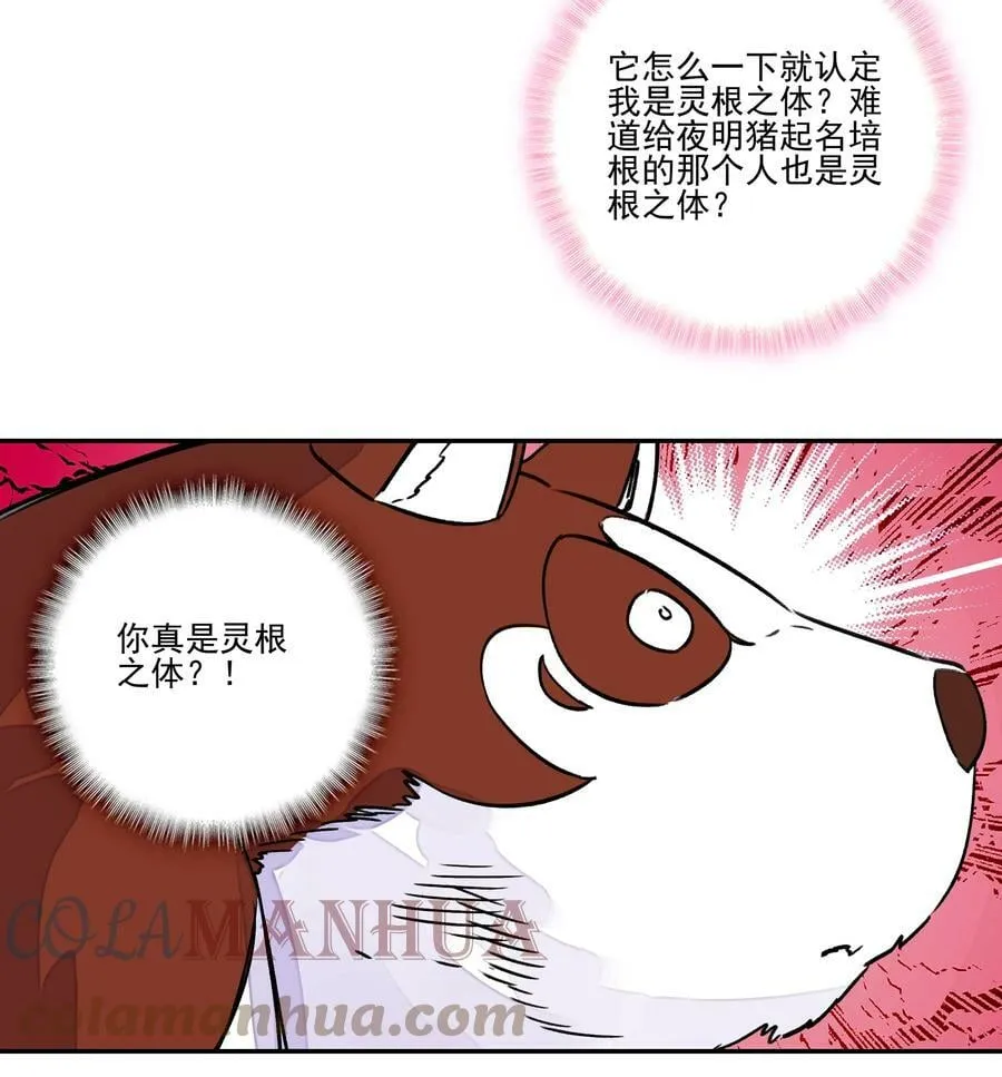 224 第219话 本王不同意这门亲事 第25页