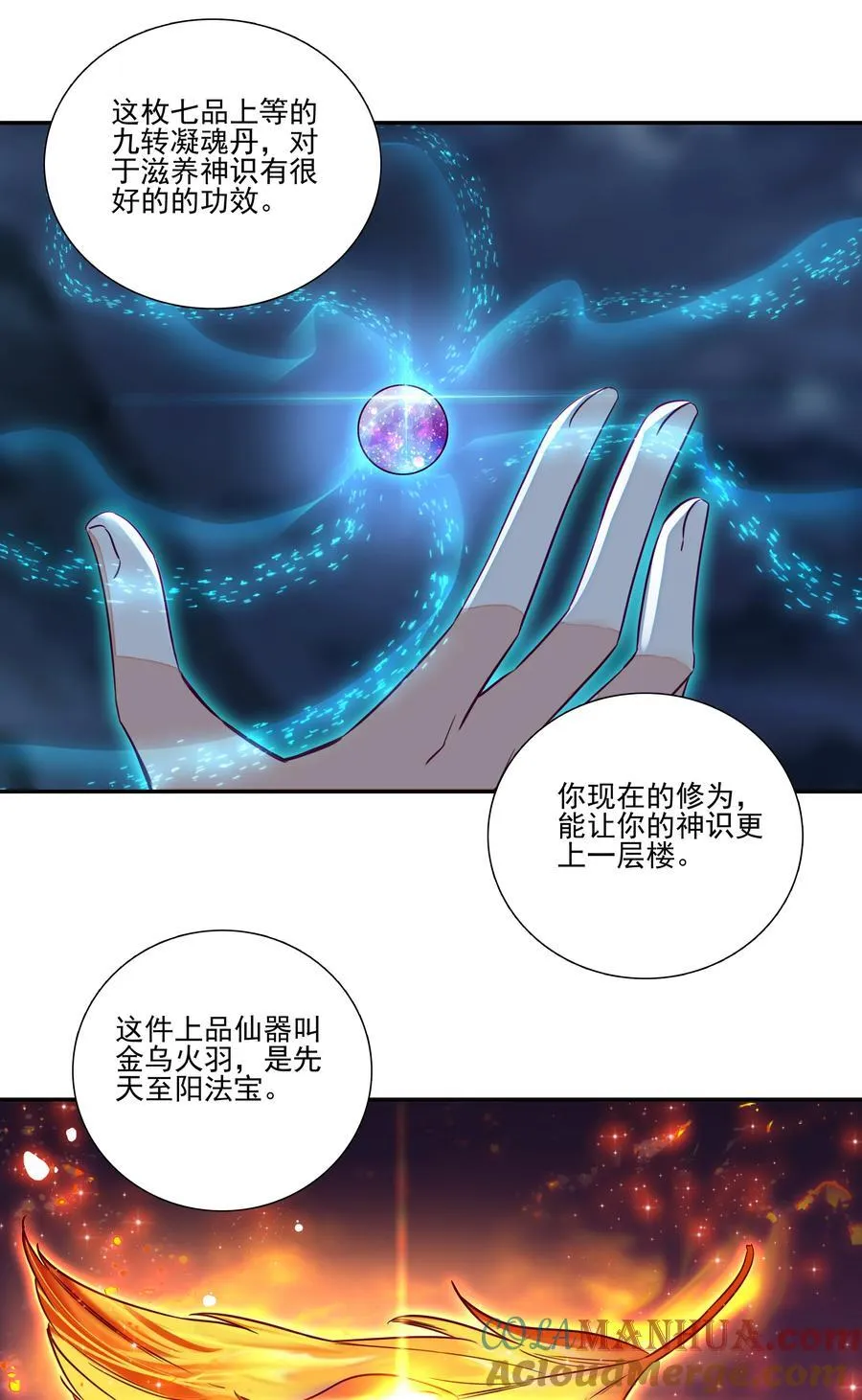 243 第238话考核 第7页