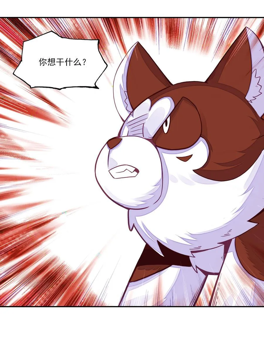 268.5 重视点 第12页