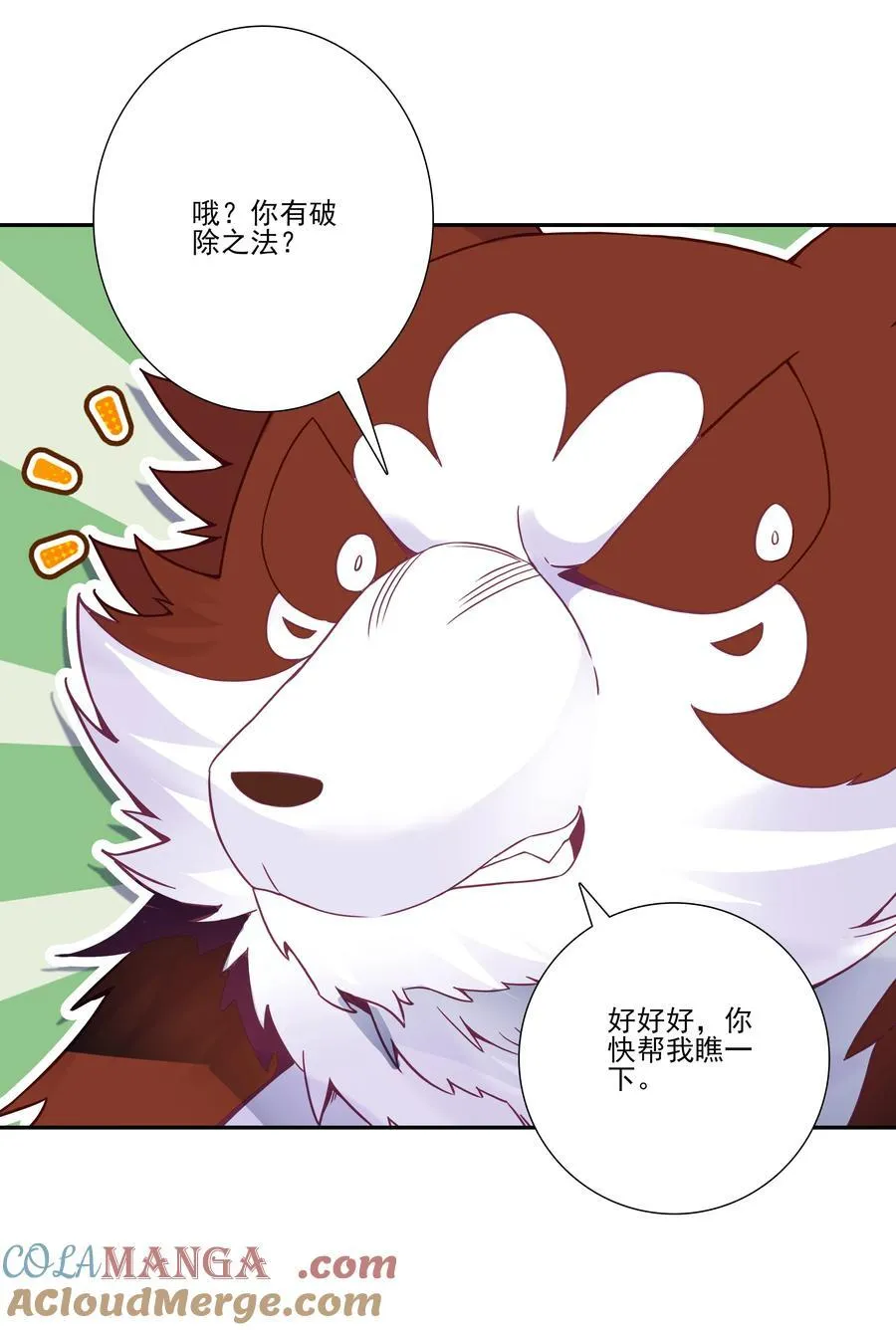 273 273 第34页