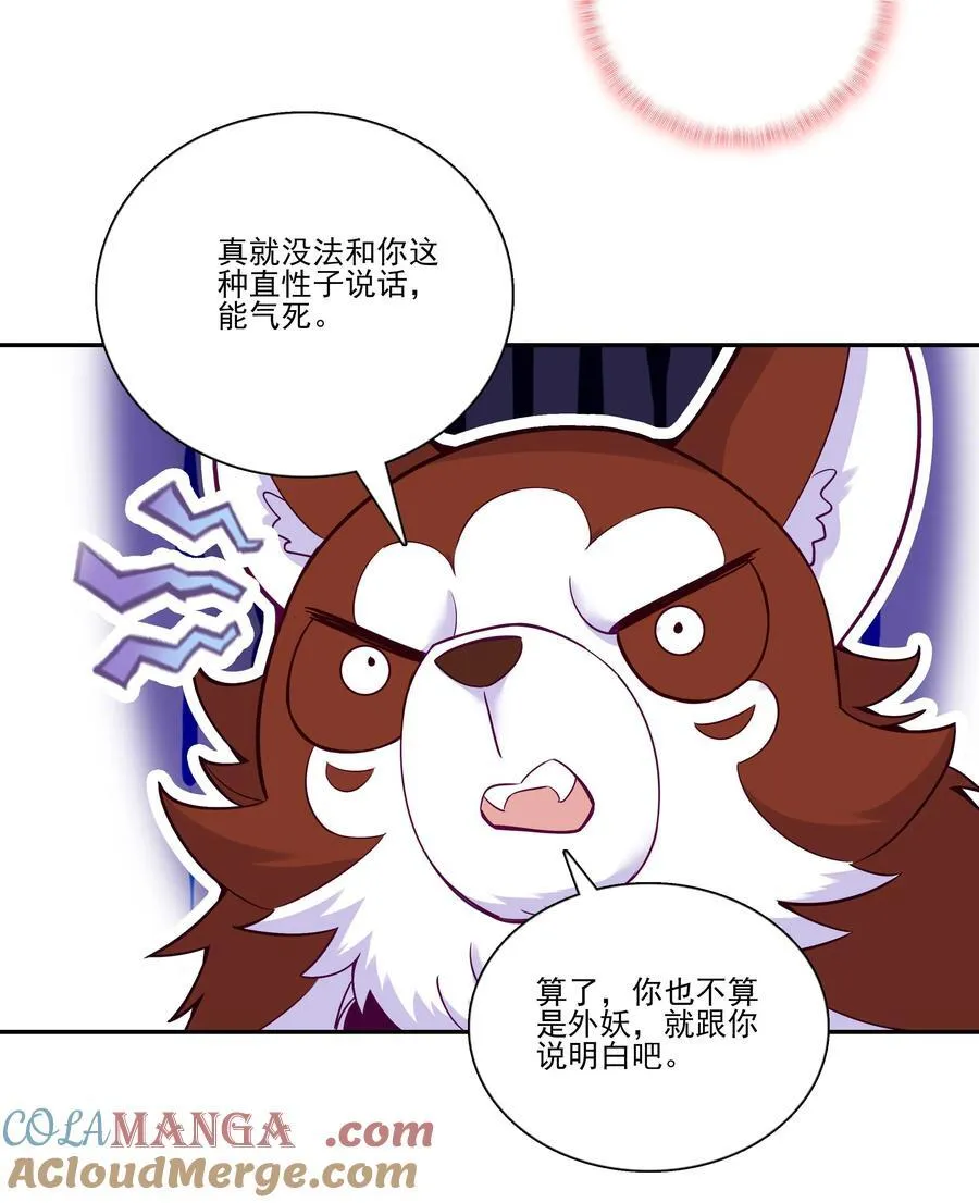 275 275 第19页
