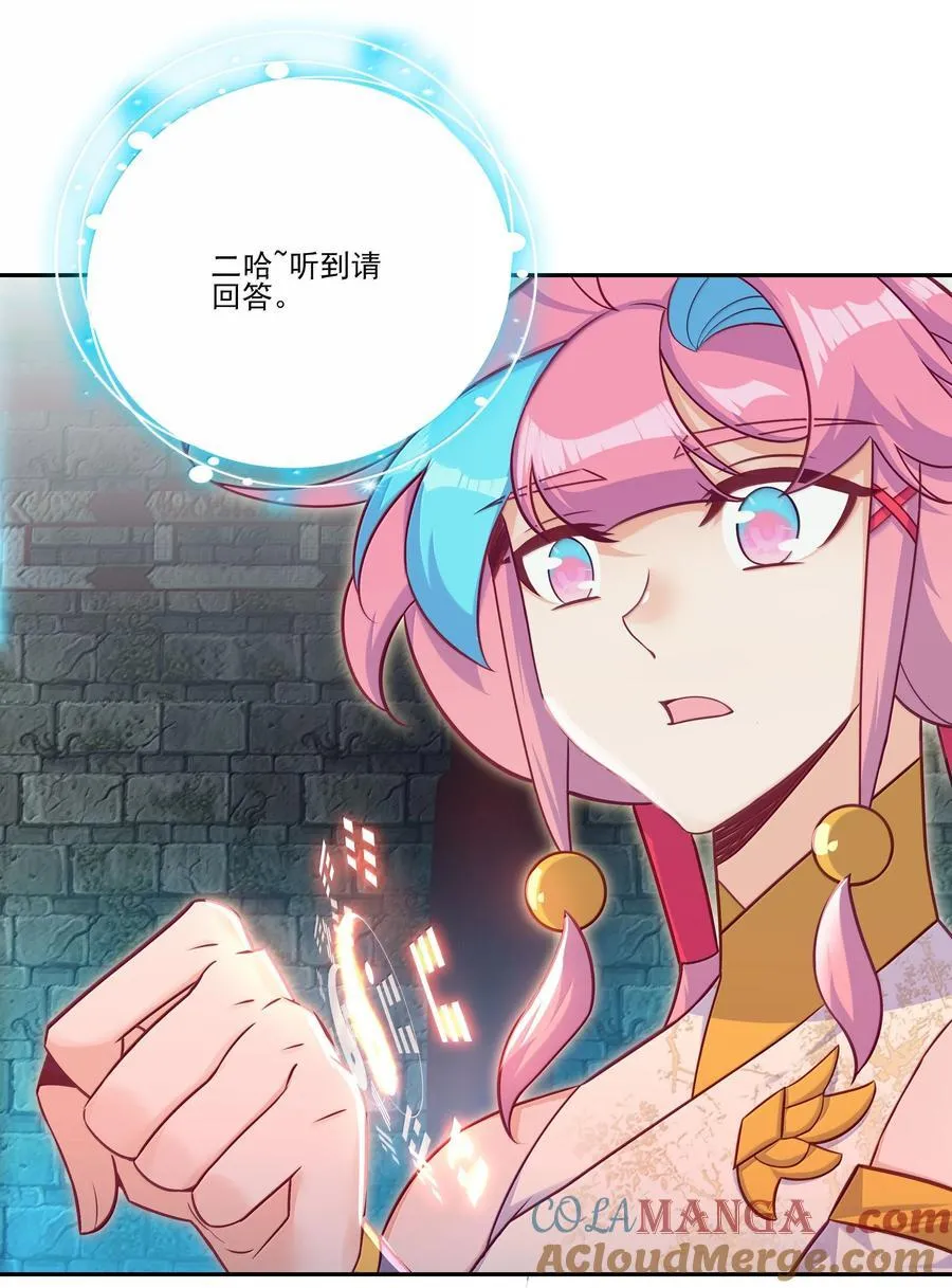 289 289 第43页