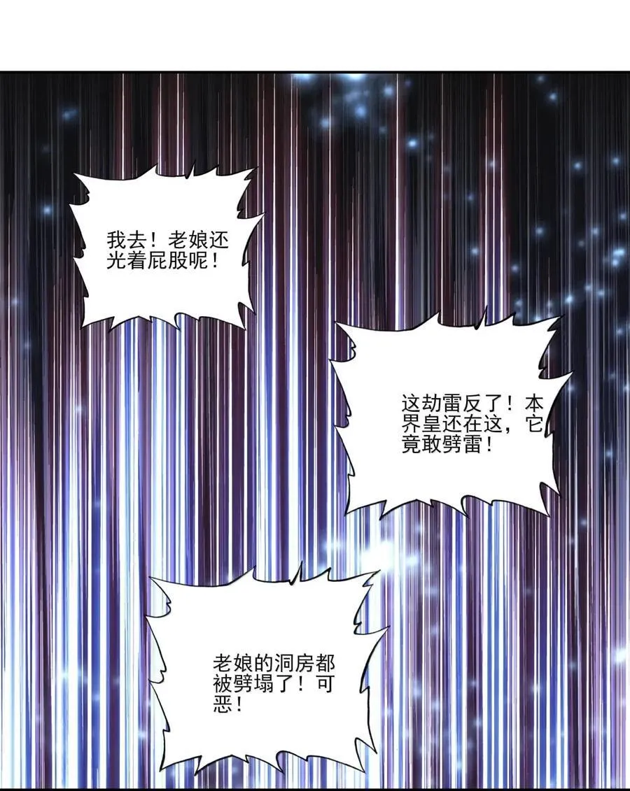 313 313 第47页