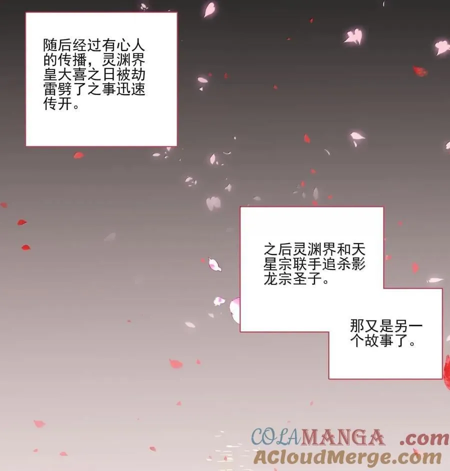 313 313 第49页