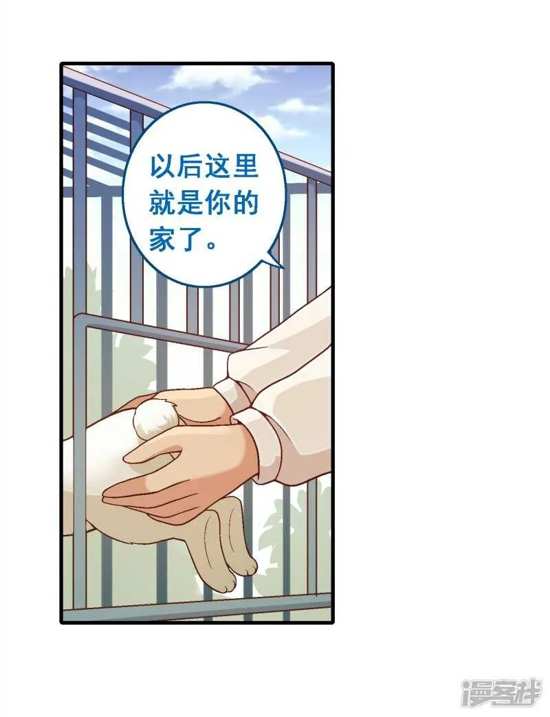 第七十二课：人与玩具 第8页