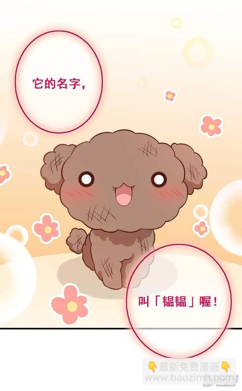 第四十课：新成员 第29页