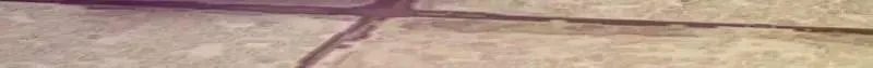 第355话 妖族也有很多面孔 第19页