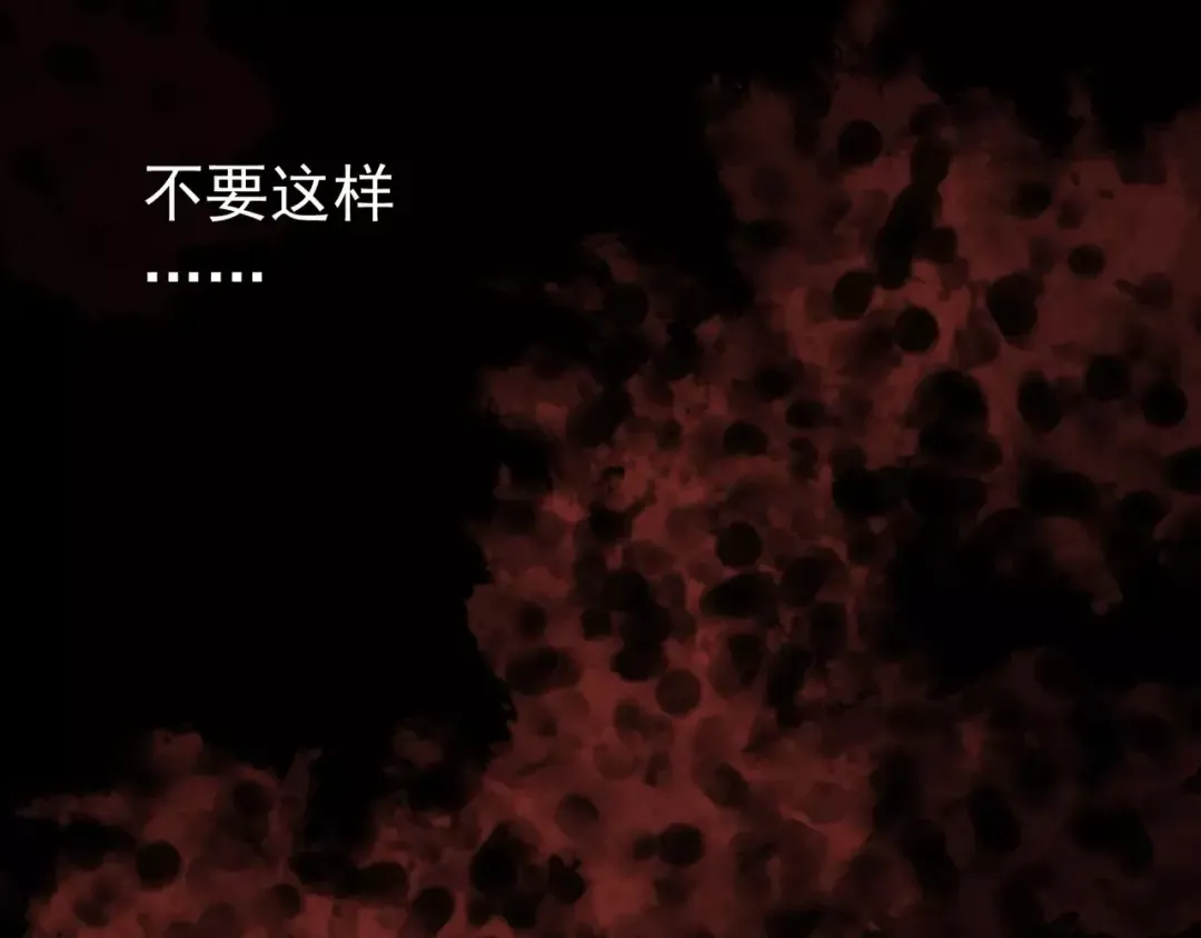 第24话 别怕，有我在 第41页