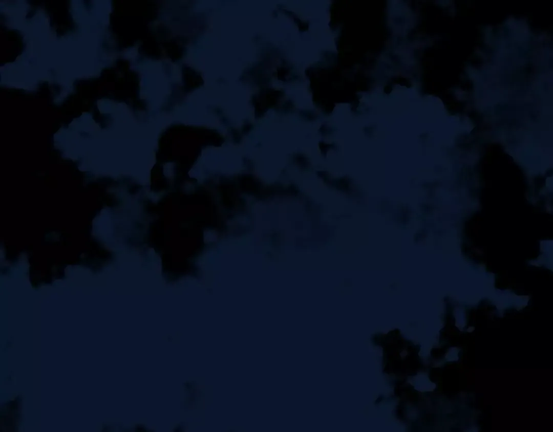 第53话 我该怎么办？ 第55页
