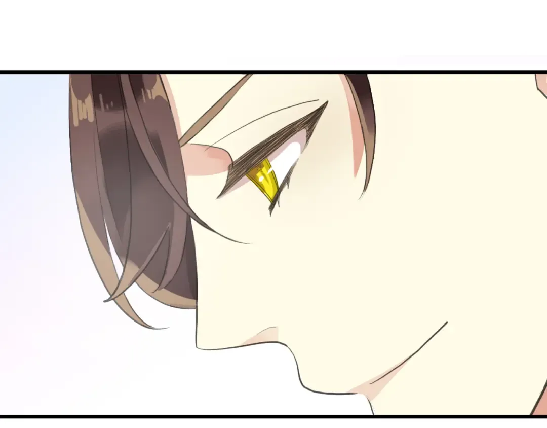 誓约篇 第48话 壁咚VS壁咚 第66页