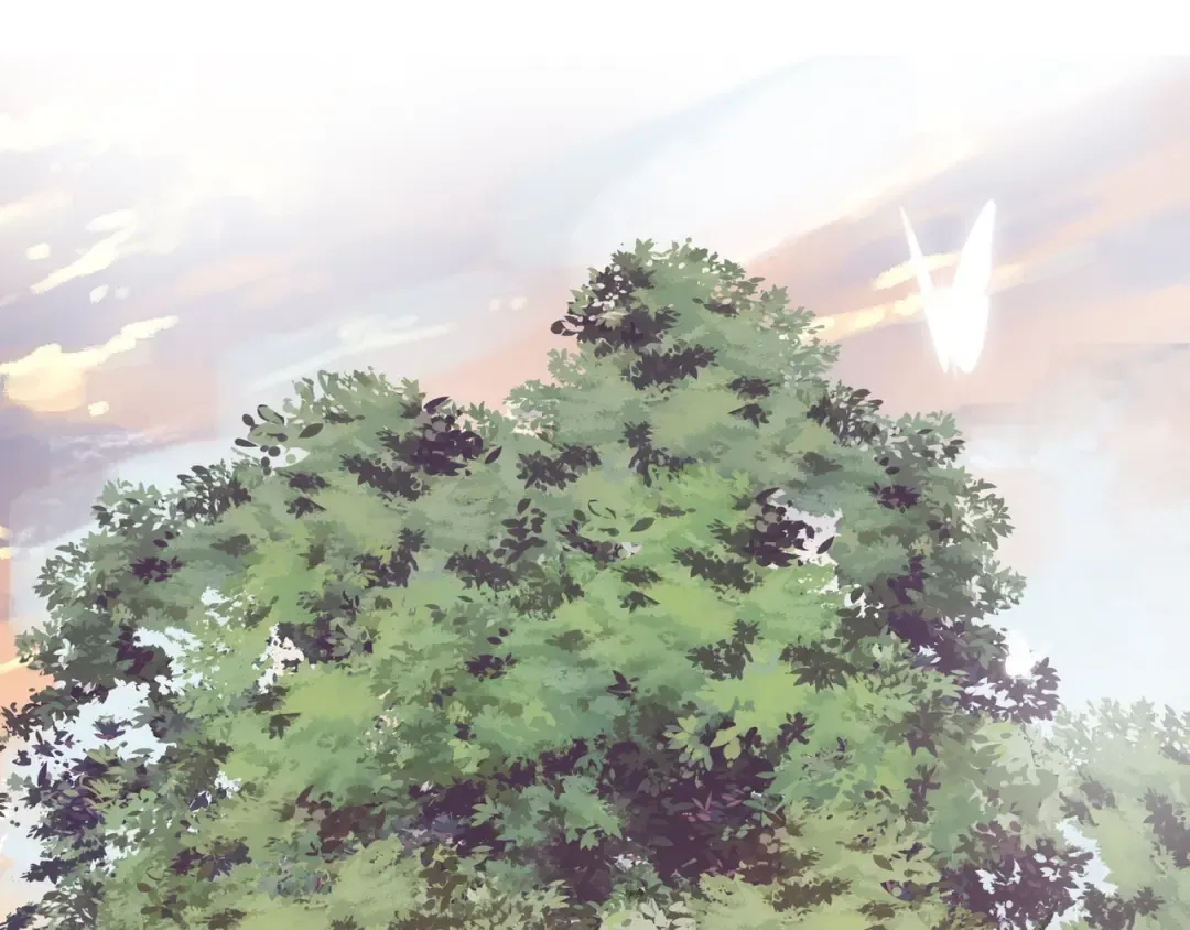 番外 暗处的人 第2页