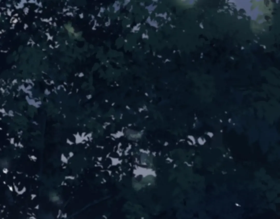 番外 暗处的人 第74页