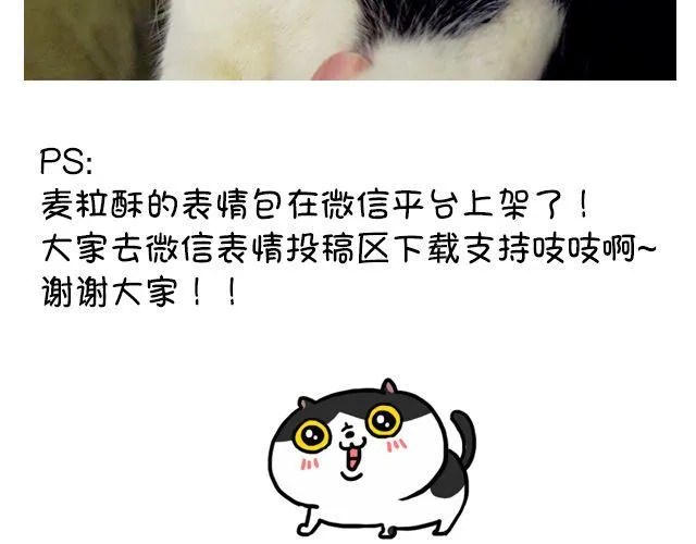 第11话 时间是把杀猫刀 第25页
