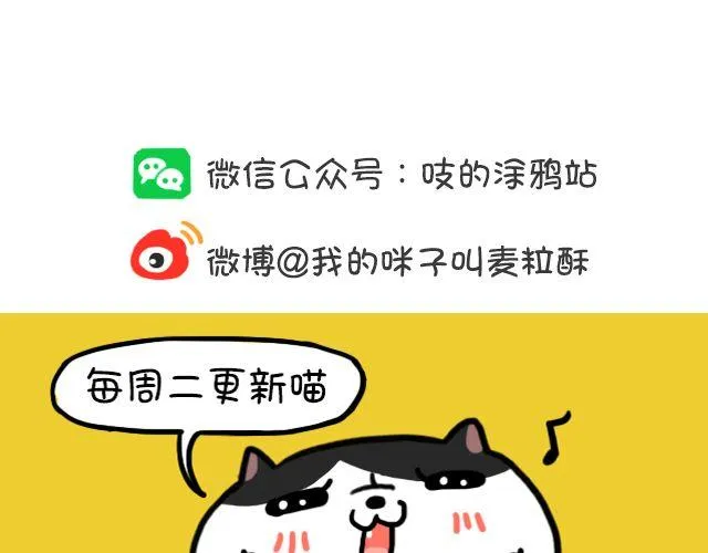 第11话 时间是把杀猫刀 第26页