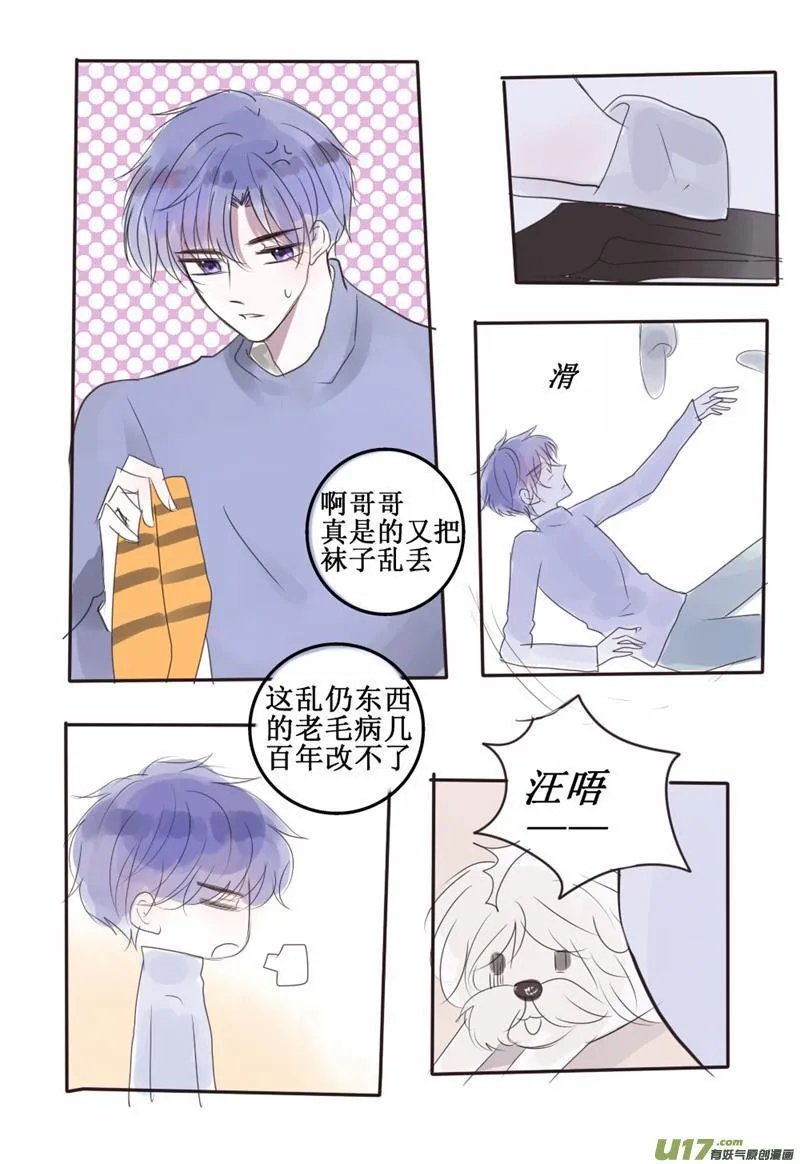 我的哥哥实在太耀眼了怎么办 第2页