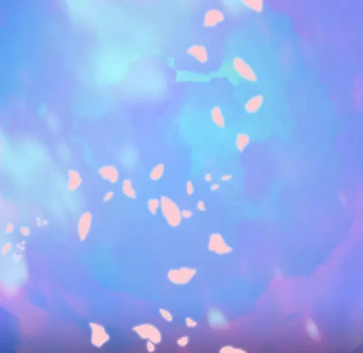 24 第62页
