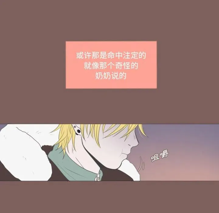 20 第44页