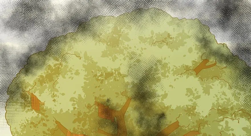 第十九话 第69页