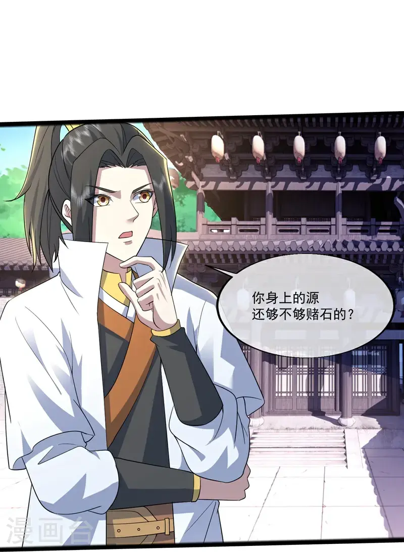 第409话 神城赌石 第16页