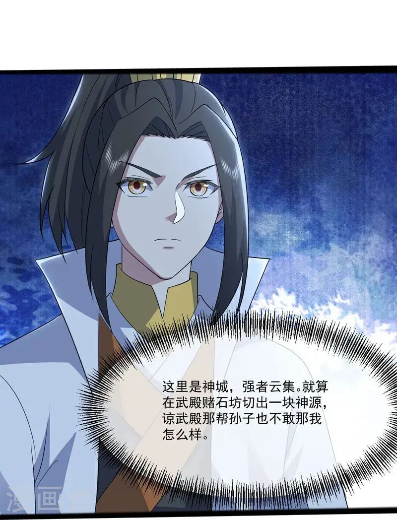 第409话 神城赌石 第19页
