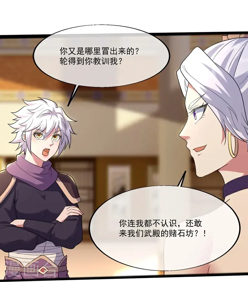 第409话 神城赌石 第23页