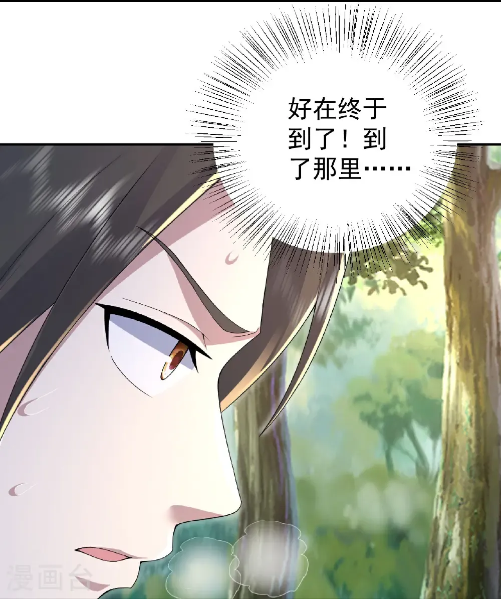 第490话 三入大道禁地 第26页